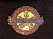 Odznak Tamburaši