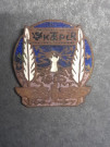 Odznak 