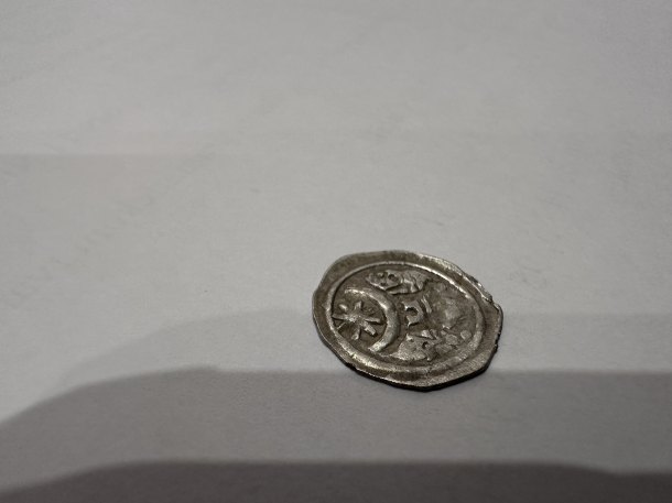 Neznáma minca z lesa