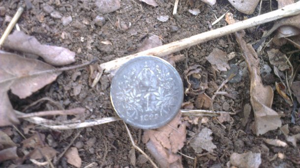 Neznámá mince 1895