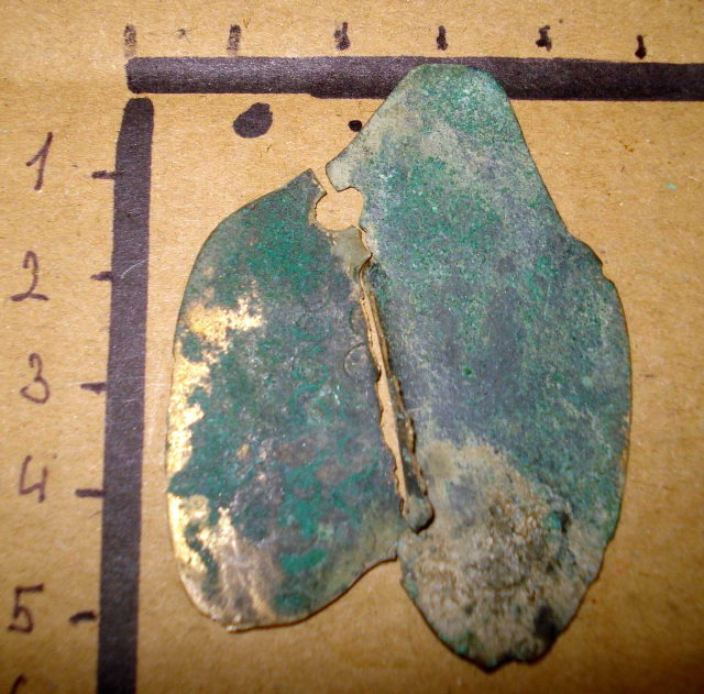 Sobotní nálezy - detail bronzové šupiny