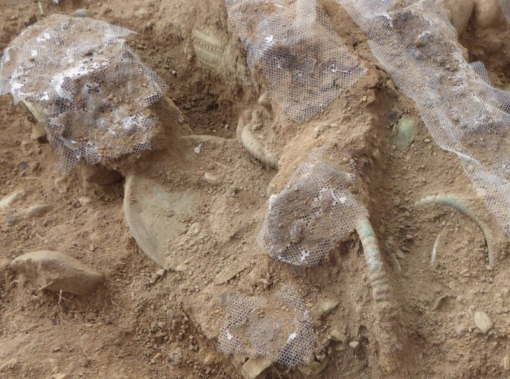 3 000 let starý koňský postroj z detektorového nálezu mění poznatky archeologů