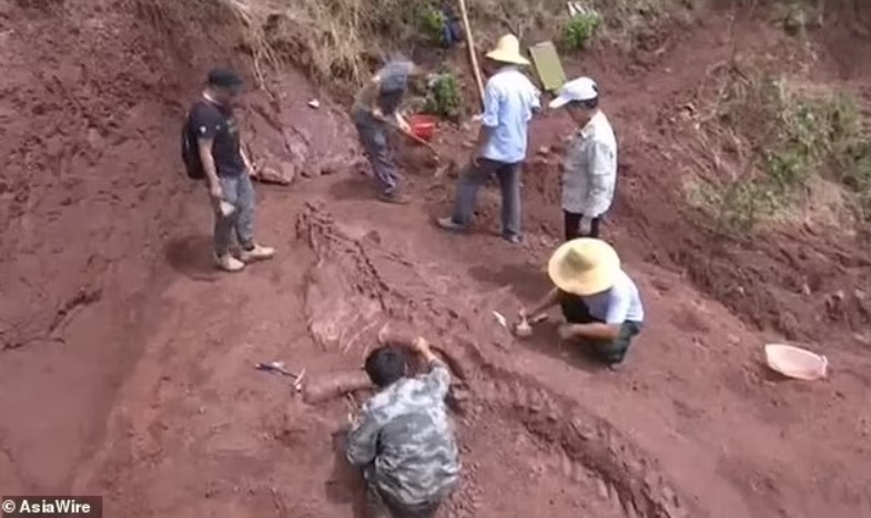 V Číně byla nalezena unikátní osmimetrová kostra dinosaura – tzv. Lufengosaura