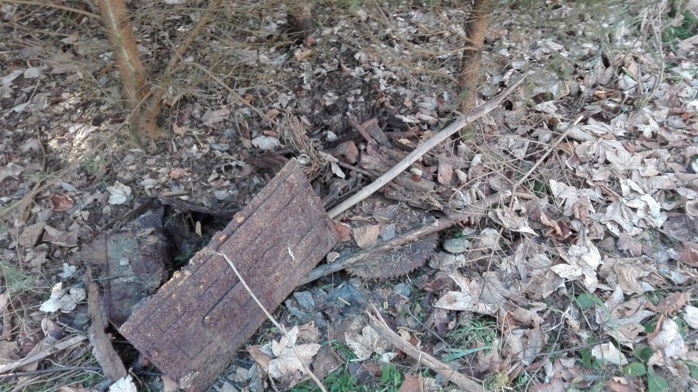 Na kraji lesa jsem našel rozpadlou bednu s nářadím.