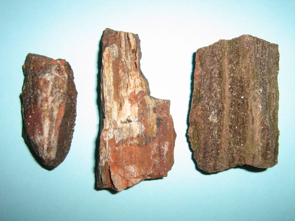 úlomky araukaritů s krystalky záhnědy
