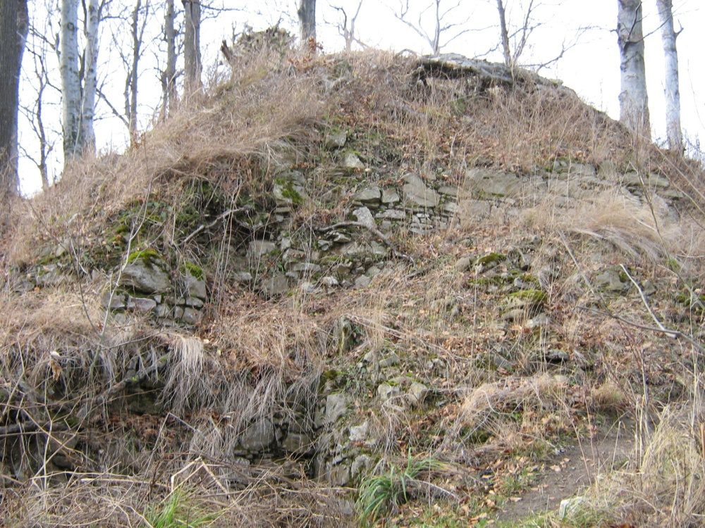 zbytky hradu Křídlo, Rusava