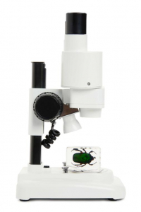 Stereoskopisches Mikroskop Celestron Labs S20