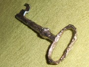 Obyčejný klíč z lesa po elýze