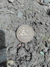 50 pfennig  1921