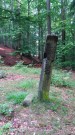 Druhy kámen z lesa