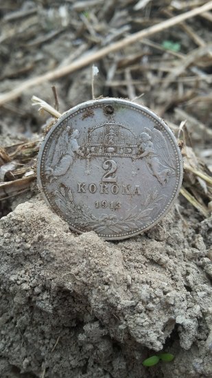 2 korona