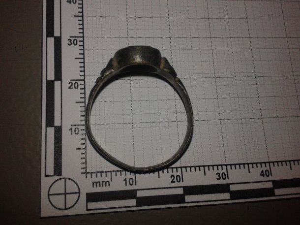 Prvni letosni prsten