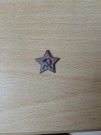 Odznak Ruská hvězda