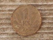 Lesní mince