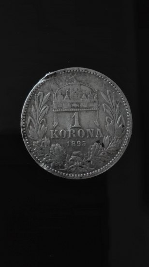 1 korona 1895