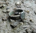 Polní prsten
