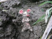 Přemnožený myši.