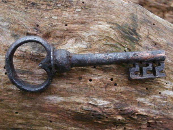 Klíč lesní