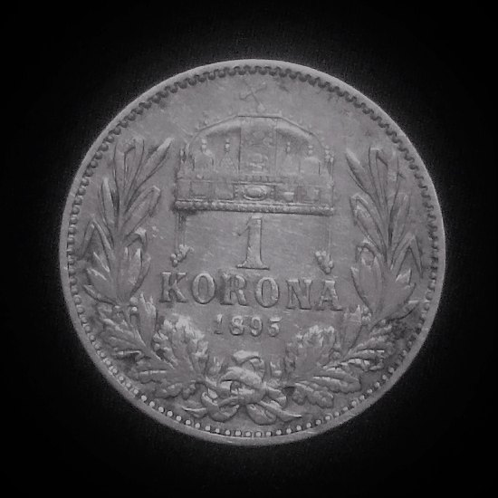 1 Korona 1895