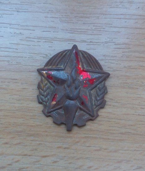Hasič-čepic.odznak