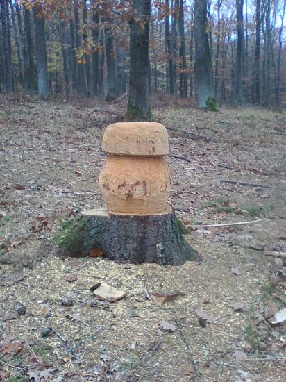 Dřevorubec - umělecký řezbář
