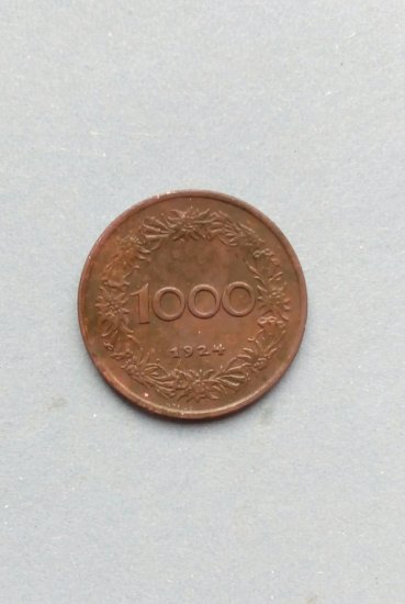 1000 kronen 1924