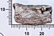 Svinutý fragment olova