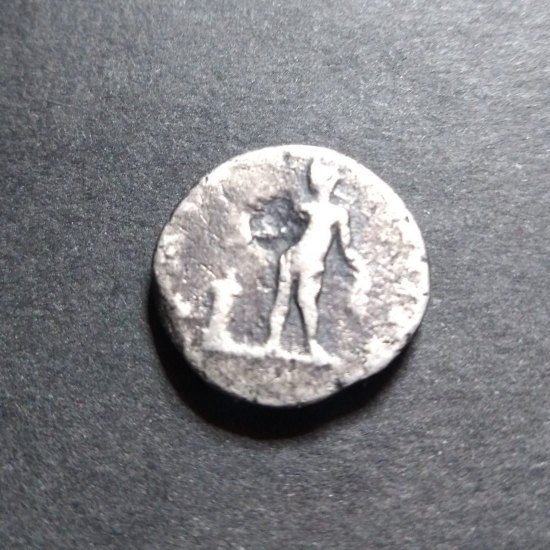 Denárius Septimius Severus.