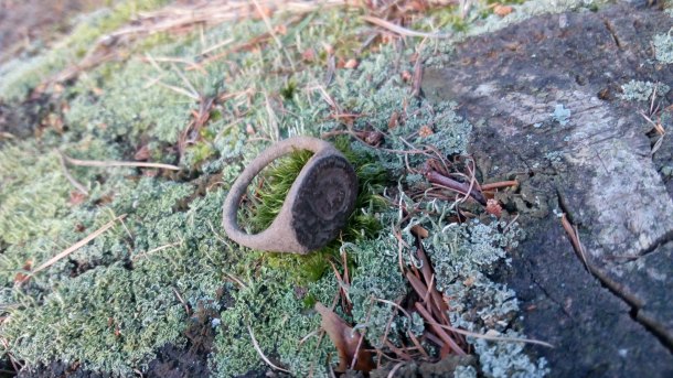 Prsten z lesa