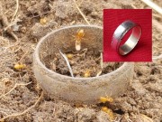 Prsten z louky od mravenců