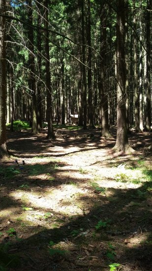 Lesní zámek
