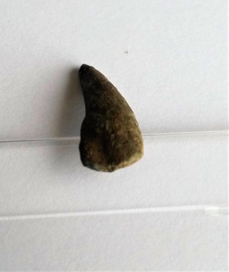 Fragment hrotu šípu z doby bronzové