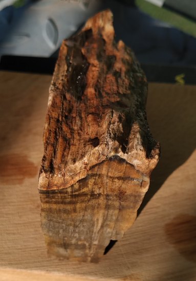 Zkamenělé dřevo