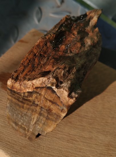 Zkamenělé dřevo