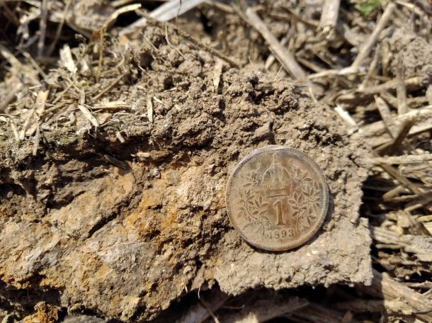 První nalezená mince 1 Koruna