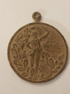 Jubilejní Medaile Annaberg 1895