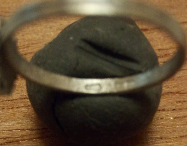 Stříbrný prsten ( rybník )