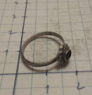 Stříbrný prsten ( rybník ) 