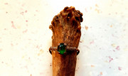 Pouťový prsten z lesa