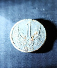 Protektorátní koruna 1943 z lesa