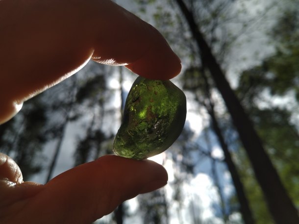 Brambůrka zelená s bublinkou