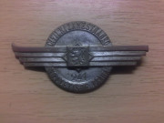 Vojenský služební odznak