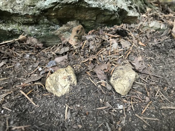 Kameny  skalní