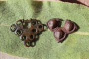 Středověké ozdoby z opasku brašny
