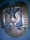 Polsky odznak