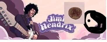 Trsátko Jimiho Hendrixe