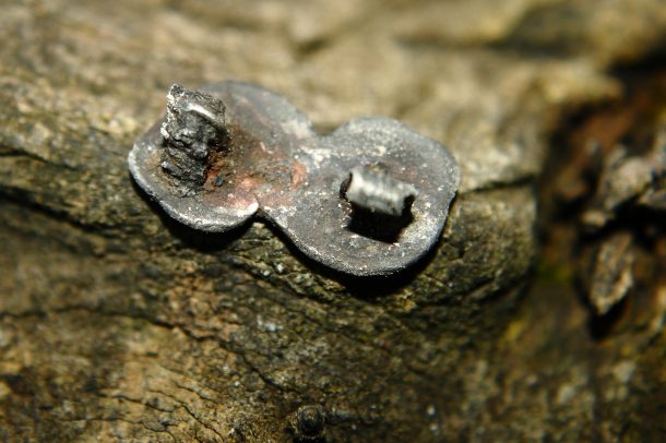 Nejkrásnější nálezy detektorem kovů