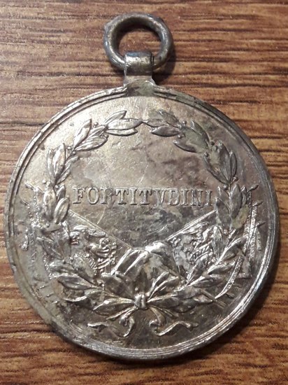 Medaile ze sudeťáku