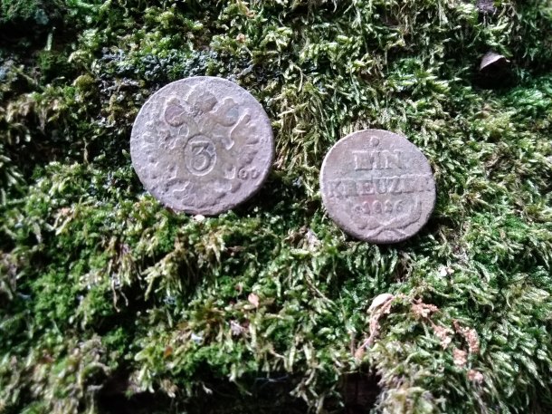 Nález mincí ze starého lesa