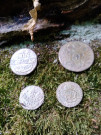 Nález mincí ze starého lesa